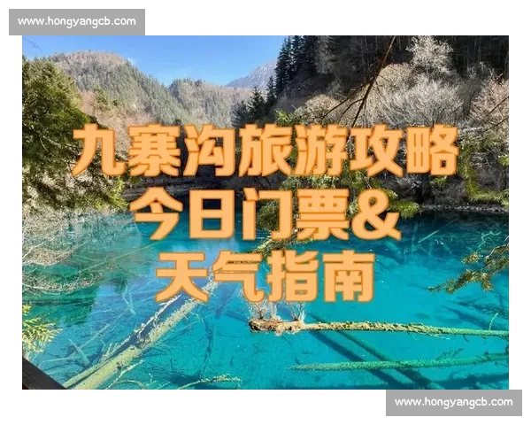 中国vs乌兹别克比赛门票开售时间价格及购票攻略全解析最新指南